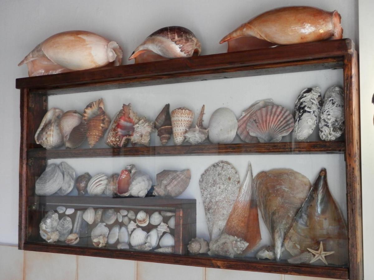 B&B Attico Mare San Benedetto del Tronto Dış mekan fotoğraf