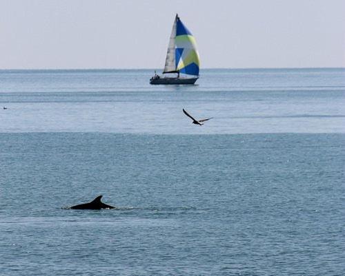 B&B Attico Mare San Benedetto del Tronto Dış mekan fotoğraf